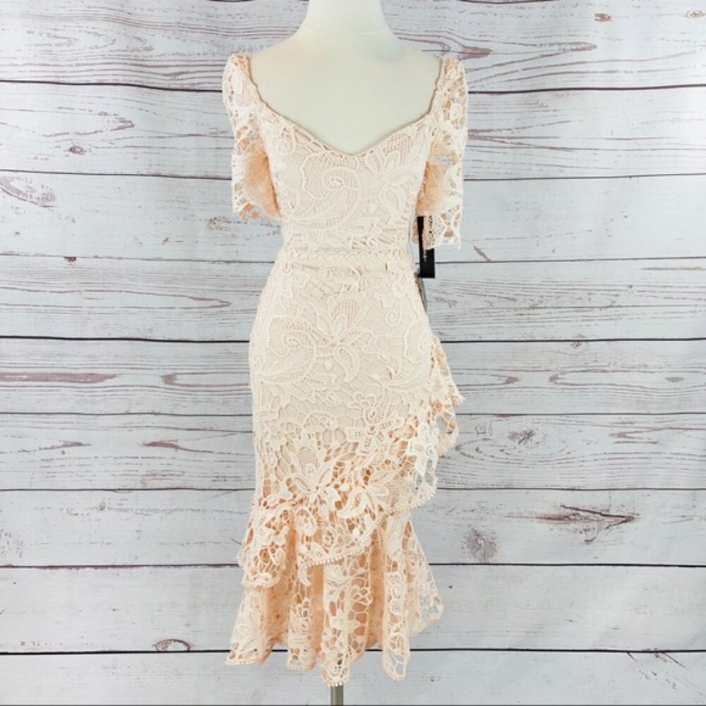 Lulu's Briarwood blush pink lace ruffled midi